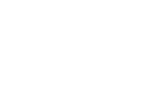EVX Solar Logo White